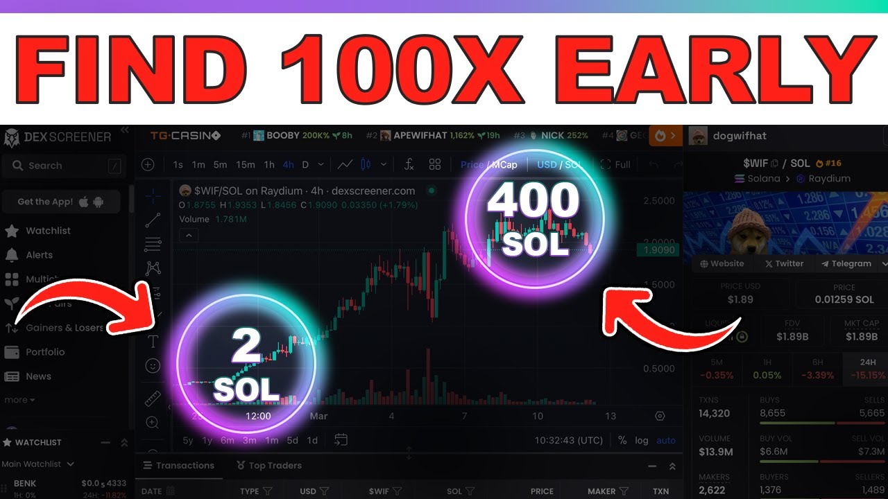 How To Get Rich With Meme Coins – 2 SOL Into 400 SOL — Summary