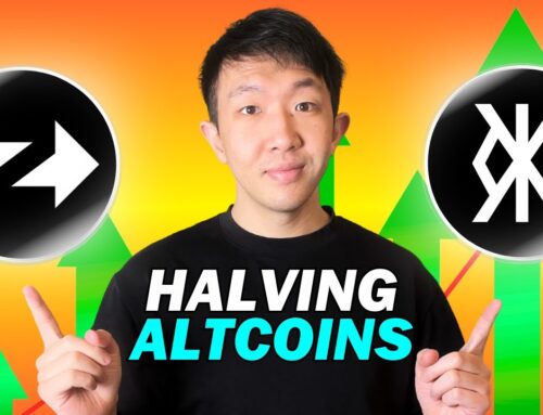 These 2 Crypto Sectors will Explode after Bitcoin Halving